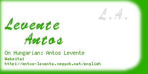 levente antos business card